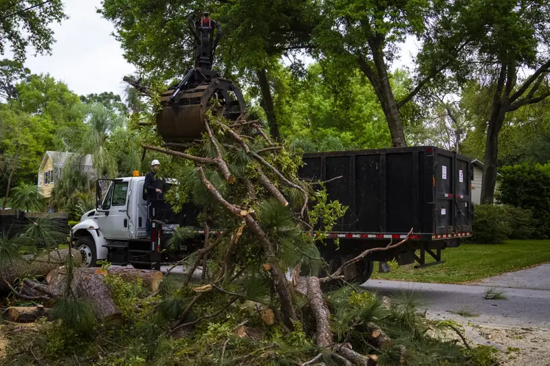 Grapple truck loading cut pine limbs and debris on a residential street
