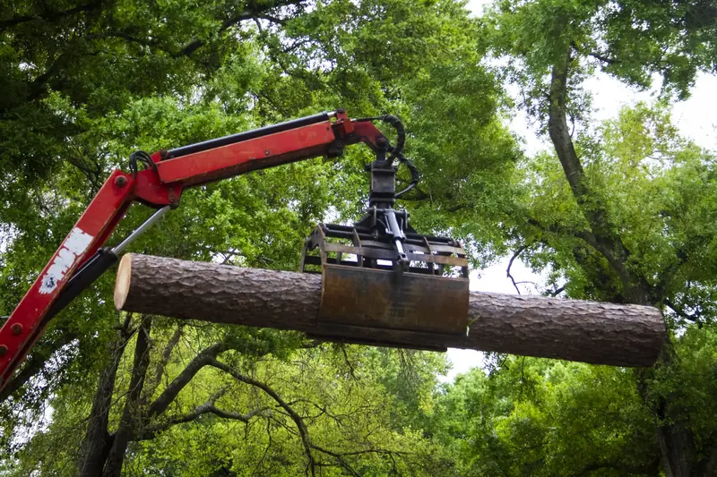 A grapple crane lifts a cut pine log under a green canopy