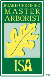 ISA Board Certified Master Arborist badge, Amber Carson, FL-9320B