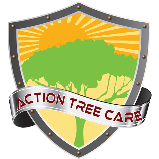 Action Tree Care