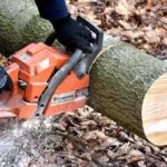 diy-tree-care-640x400