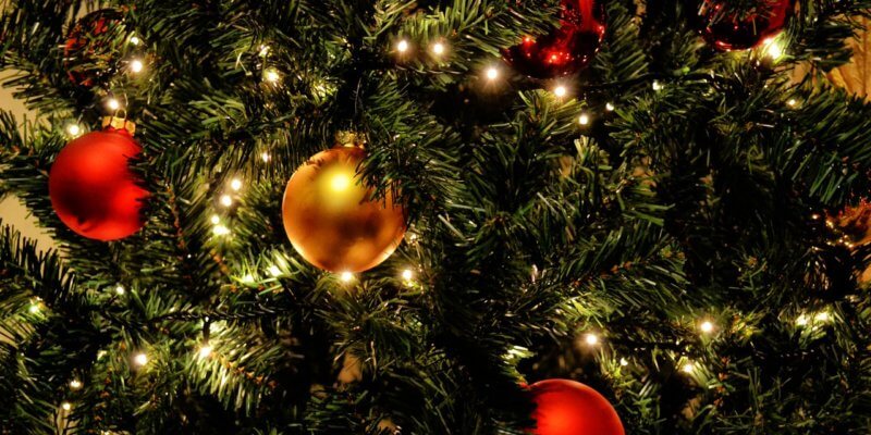 tree-recycling-800x400