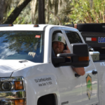 specialty tree care St. Johns County