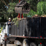 storm damage tree care Daytona Beach