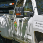 selecting-right-tree-service