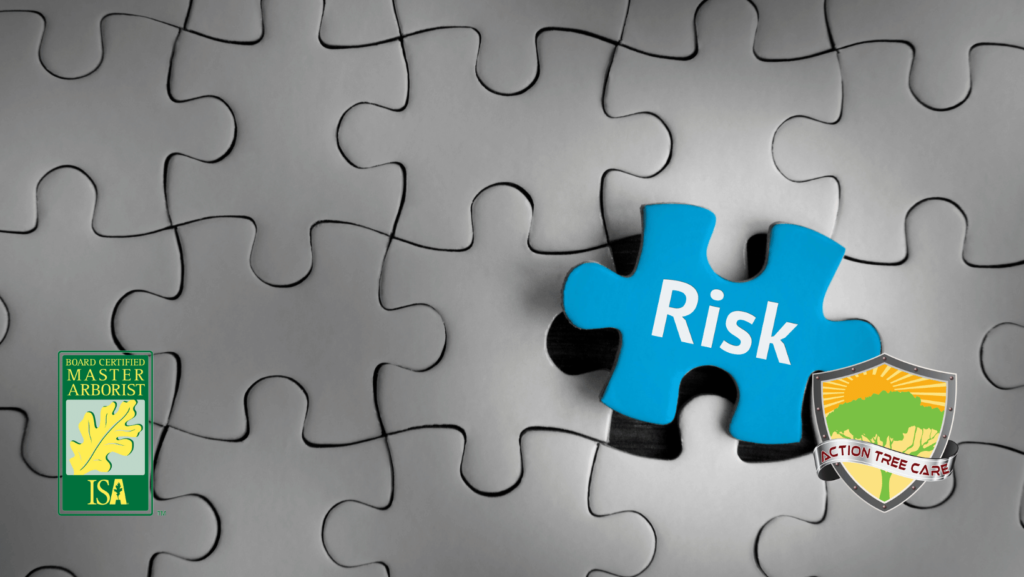 tree-risk-assessment-service